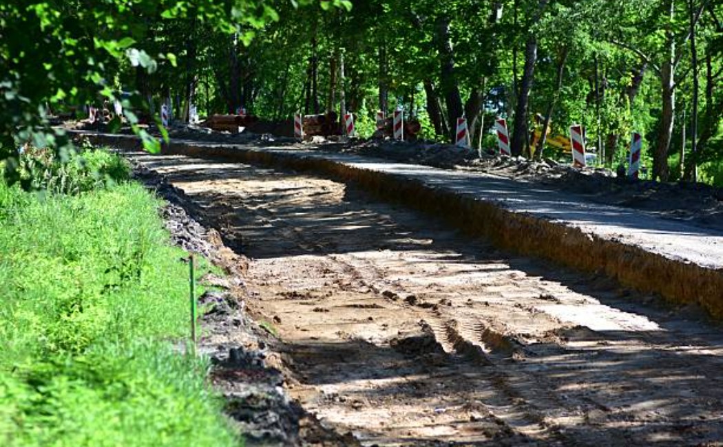 Unfinished forest trail with graded earth and vehicle tracks
